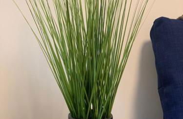 Spacious and central 4-bedroom house with parking - Foto 15