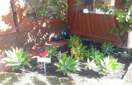 Sítio Santa Terezinha Canastra - Foto 47