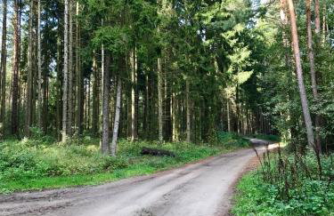 Srokowski Dwór 1 - Stara Kuźnia - Prywatna Sauna ! - Foto 23