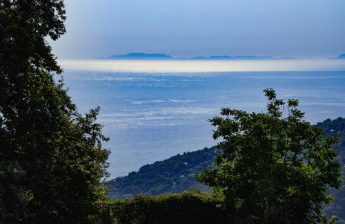 Kissos Experience - Foto 61