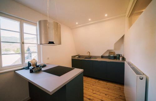 Gut Försterlay - Exklusive Boutique Apartments im historischen Winzerhaus direkt an der Mosel - Foto 60