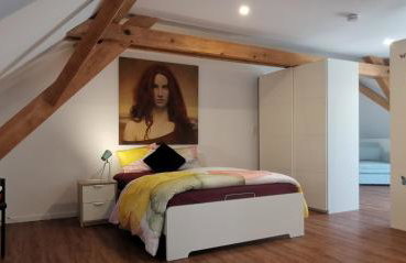 Südschwarzwald Ferienhaus für Gruppen & Monteure - Foto 59