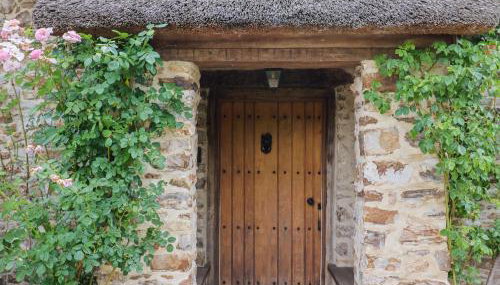 Garden View - Photo 4