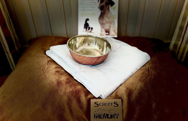 Holiday Lettings Beech Lodge - Stunning 6-bed King - Foto 33