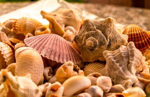 La Casa De Vacation - Foto 46