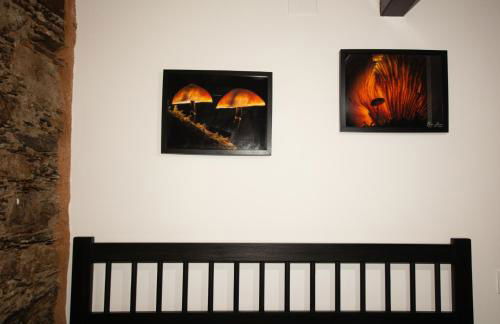 Casa da Mata de Fajão - Foto 46