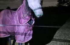 The Cosy Hide - A romantic rural retreat for 2 - Foto 51