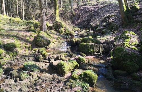 Mooi ruim appartement in antieke stadsboerderij - Foto 32