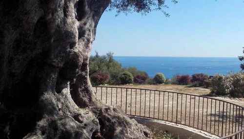 Nice garden - Foto 2