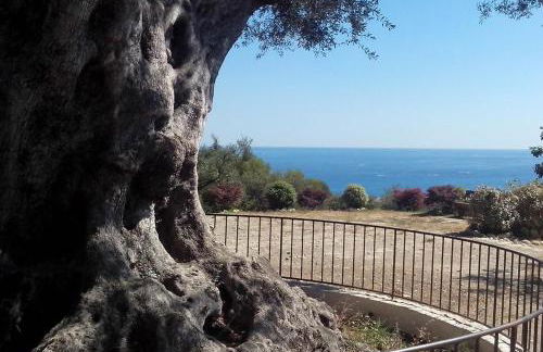 Nice garden - Foto 2