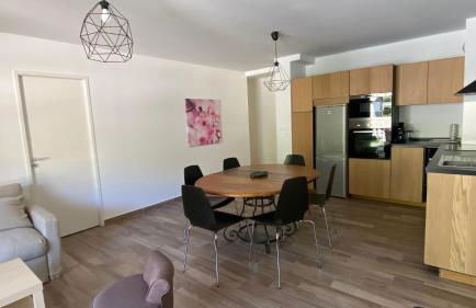 Foux d Allos Centre de la Station 4 Pièces 8 Personnes - Foto 26