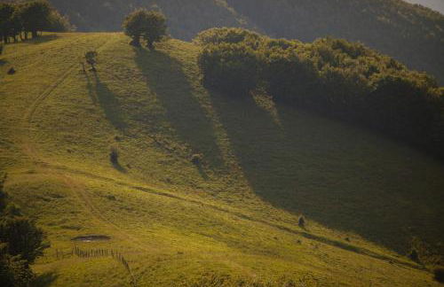Agriturismo Carovane - Photo 25