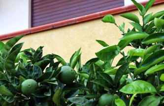 Casa Floriana a San Leone - Foto 17