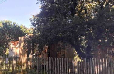 Ma cabane sous les arbres - Foto 55