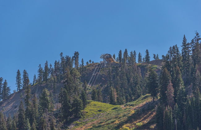 Ski In Ski Out PT Lodge 2BR 2BA Hot Tubs - Foto 41