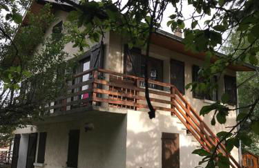 Ancelle le plantier - Foto 2