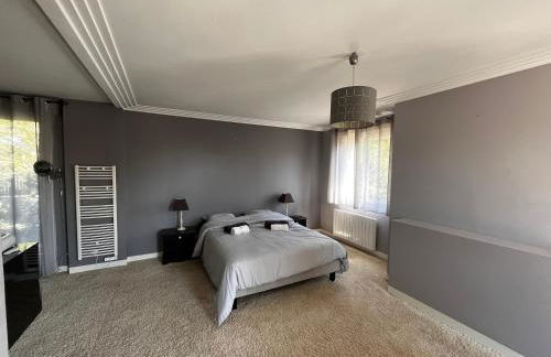 Villa avec piscine à 10 min du circuit des 24h du Mans - Foto 22