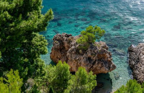 Villa Jana - Photo 11