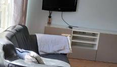 Cozy 2-Bedroom Apartment in Central London - Foto 5