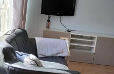 Cozy 2-Bedroom Apartment in Central London - Foto 5