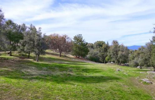 NEW LISTING, Near Yosemite South Gate entrance and town, King bed, Hot Tub, BBQ, Firepit & Mountain Views - Foto 38