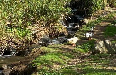 Casa do Monte - Photo 49