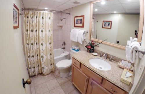 AEI at Kaanapali Shores - Photo 66