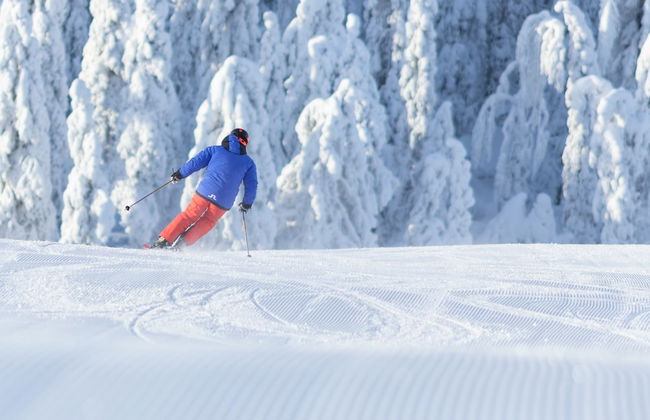 Tahko-Tours - Foto 43