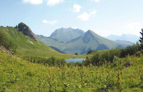 studio cabine Praz de Lys - Foto 47