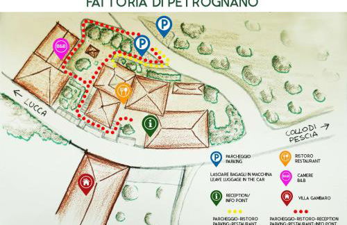 Fattoria Gambaro di Petrognano - Foto 50