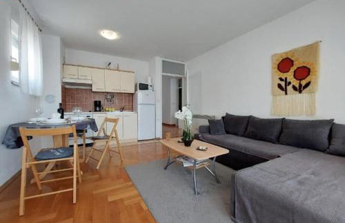 Apartman Goga - Photo 9