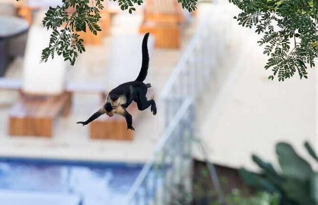 Los Altos Resort - Foto 35