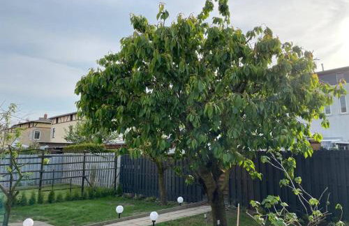 Schönes Reihenhaus mit Garten - Foto 17