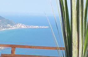 Tenuta Belvedere Cilento - Foto 30