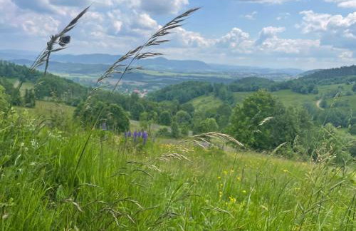 Filipówka - dom z sauną w Karkonoszach - Foto 29