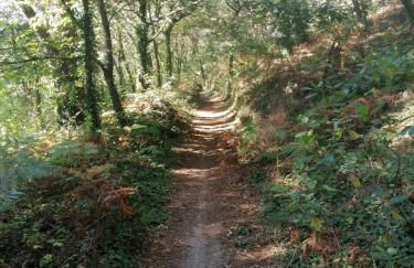 La casita de Meiro - Foto 8