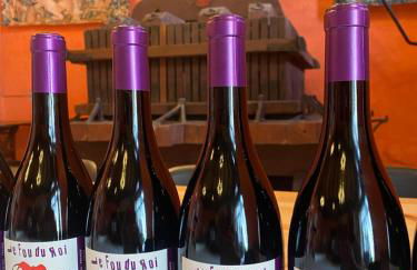 Château des Janroux - Foto 65