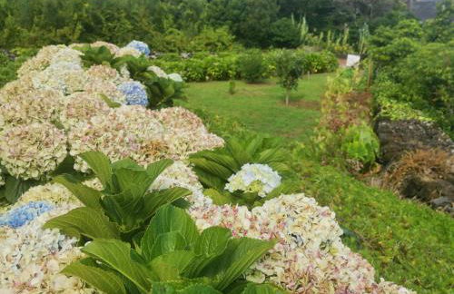 Casa da Arquinha - Photo 58