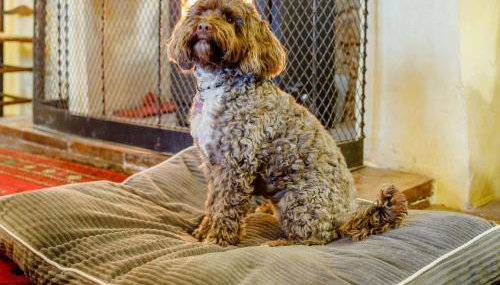 4 Bed in Dunster 90504 - Foto 4, Other