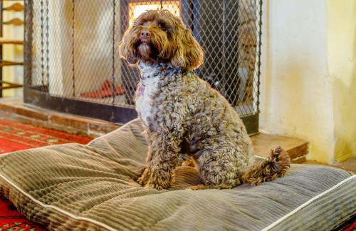 4 Bed in Dunster 90504 - Photo 4