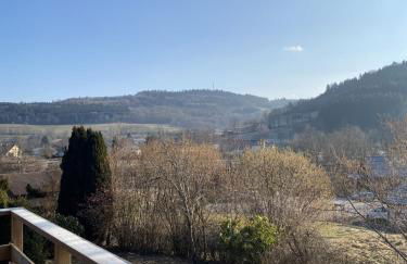 Chalet Le Clefcy - Vosges - Spa - Proche Gérardmer - Foto 37
