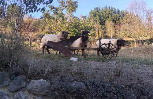 Casa Rural el Enebral en Potes Picos de Euopa - Foto 30