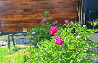 Drvena bajka - Photo 37