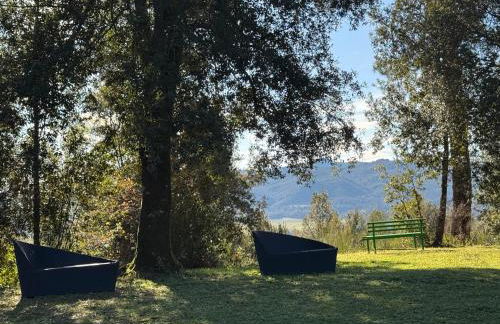 Casina nel Bosco - Foto 33