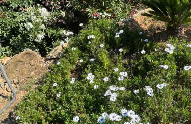 Les Amandiers - Foto 30