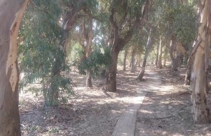 Villa Capriccio - Foto 31