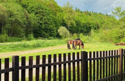 Nad Mikowym Potokiem - wydzielona część drewnianego domu z osobnym wejściem i ogrodem - Foto 6