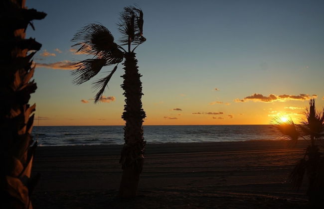 Apartamentos Torre Vigia - Photo 15