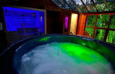 Domki Platan w Karkonoszach - Foto 24