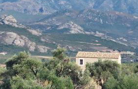 1st floor apartment in 18th century character house - Foto 29